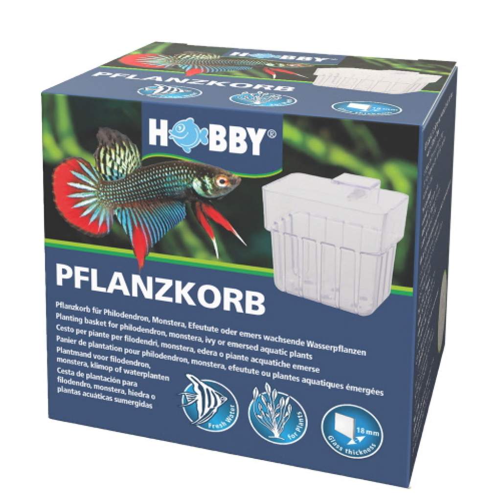 Pflanzkorb